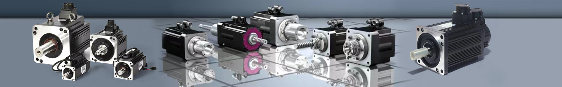 体育app官方入口